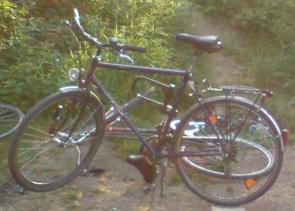 2010.07.23_86_1.jpg