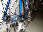 Rennrad